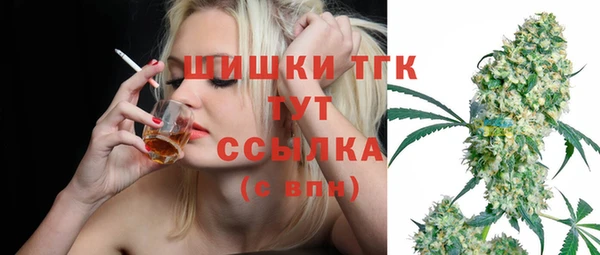 бошки Горняк