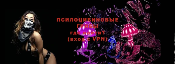 дживик Горно-Алтайск