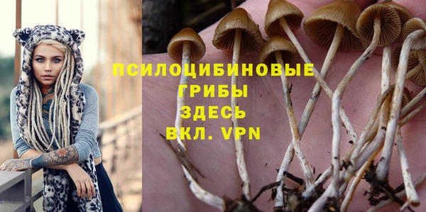 ГАЛЛЮЦИНОГЕННЫЕ ГРИБЫ Горнозаводск