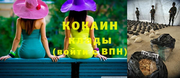 бошки Горняк