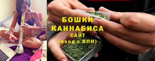 бошки Горняк