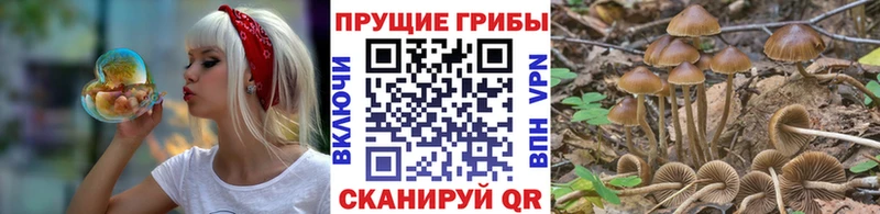 Галлюциногенные грибы GOLDEN TEACHER  Элиста 